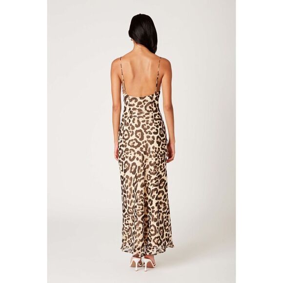 NIA JASMINE DRESS - Leopard print chiffon  Brunch Wine Tasting size S NWT$108 - Picture 3 of 6